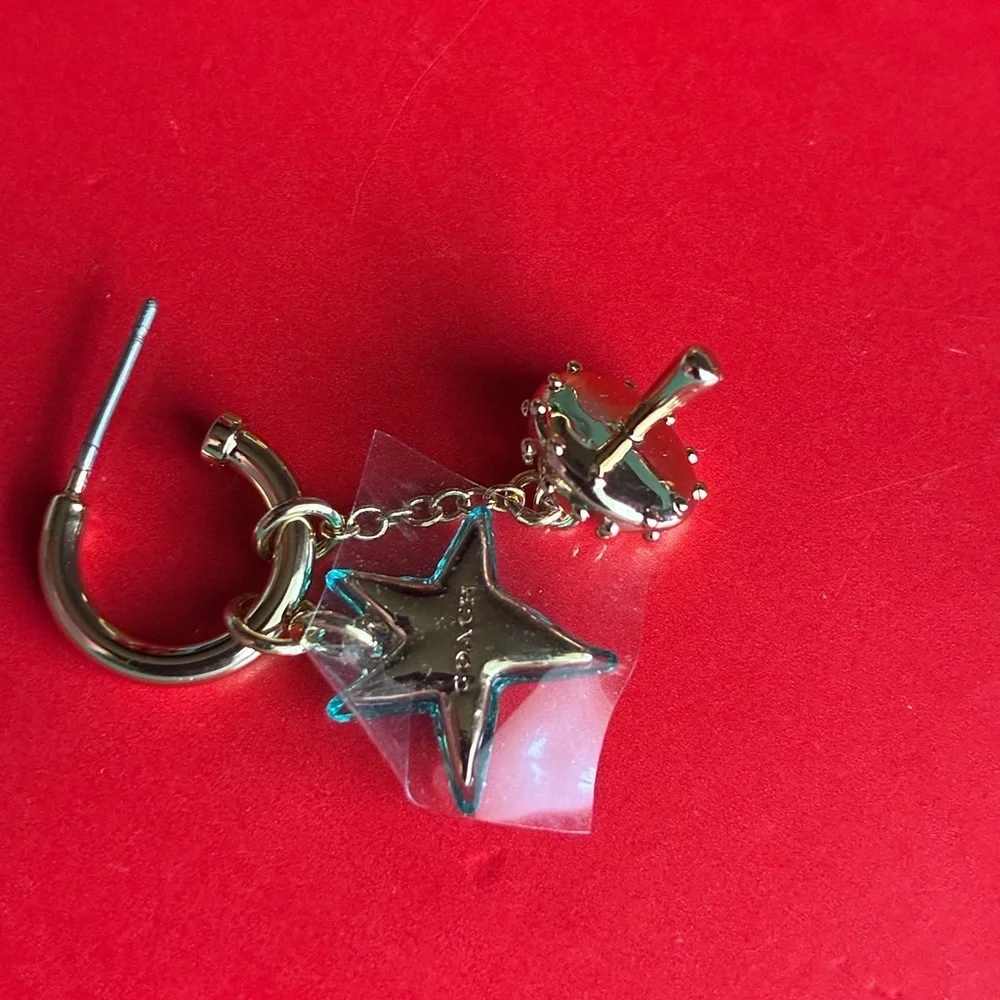 COACH EARRINGS,Coach x Observed By Us Collaboration Box